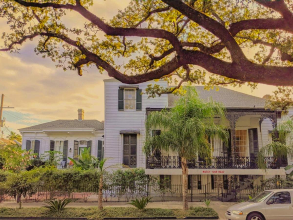 Bed & Breakfast The Esplanade Mansion New Orleans