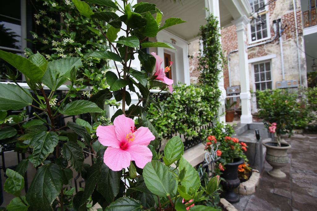 Bed & Breakfast Fleur De Lis Mansion New Orleans
