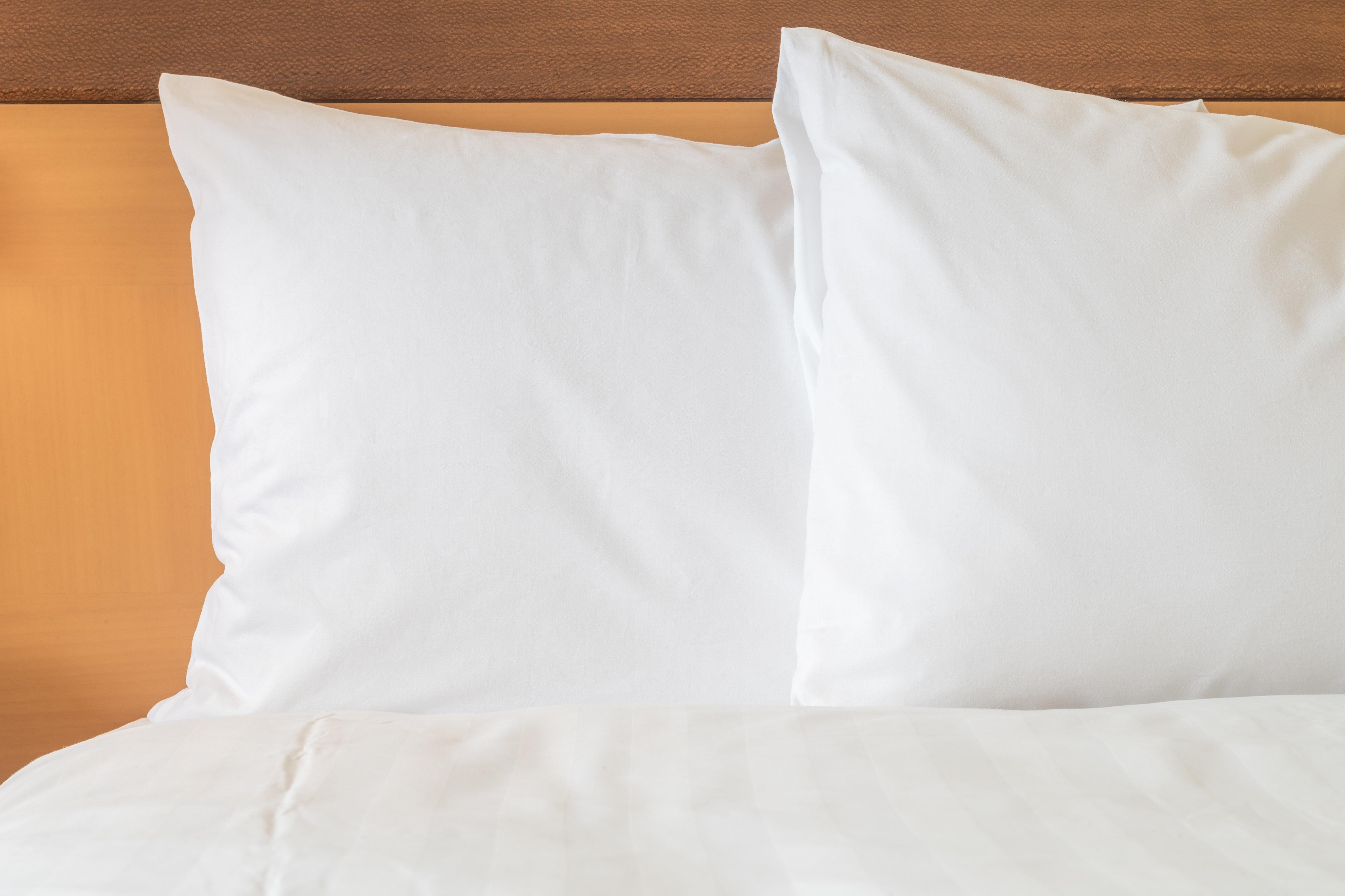 Hotel New Orleans-downtown Superdome By Ihg