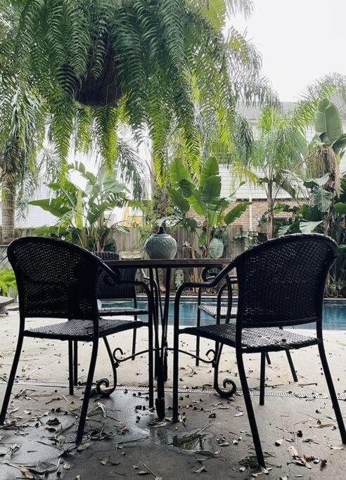 The Dragonfly Treme-close To French Quarter-heated Salt Pool Holiday home