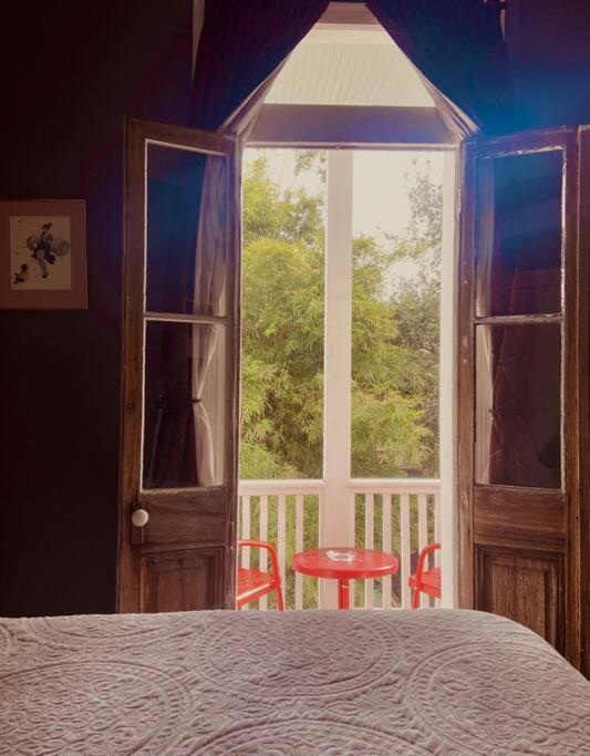 The Dragonfly Treme-close To French Quarter-heated Salt Pool Holiday home *