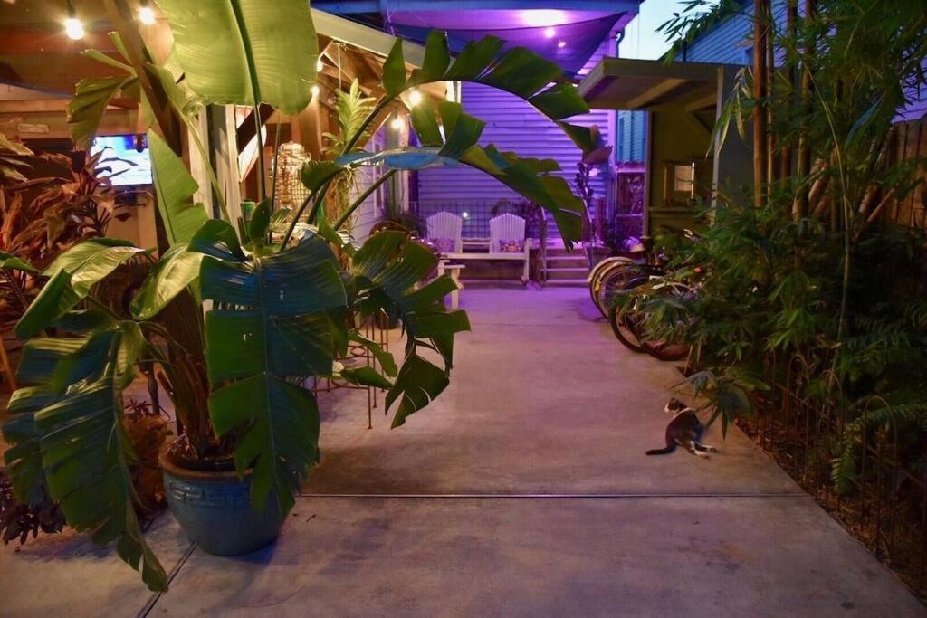 The Dragonfly Treme-close To French Quarter-heated Salt Pool * New Orleans