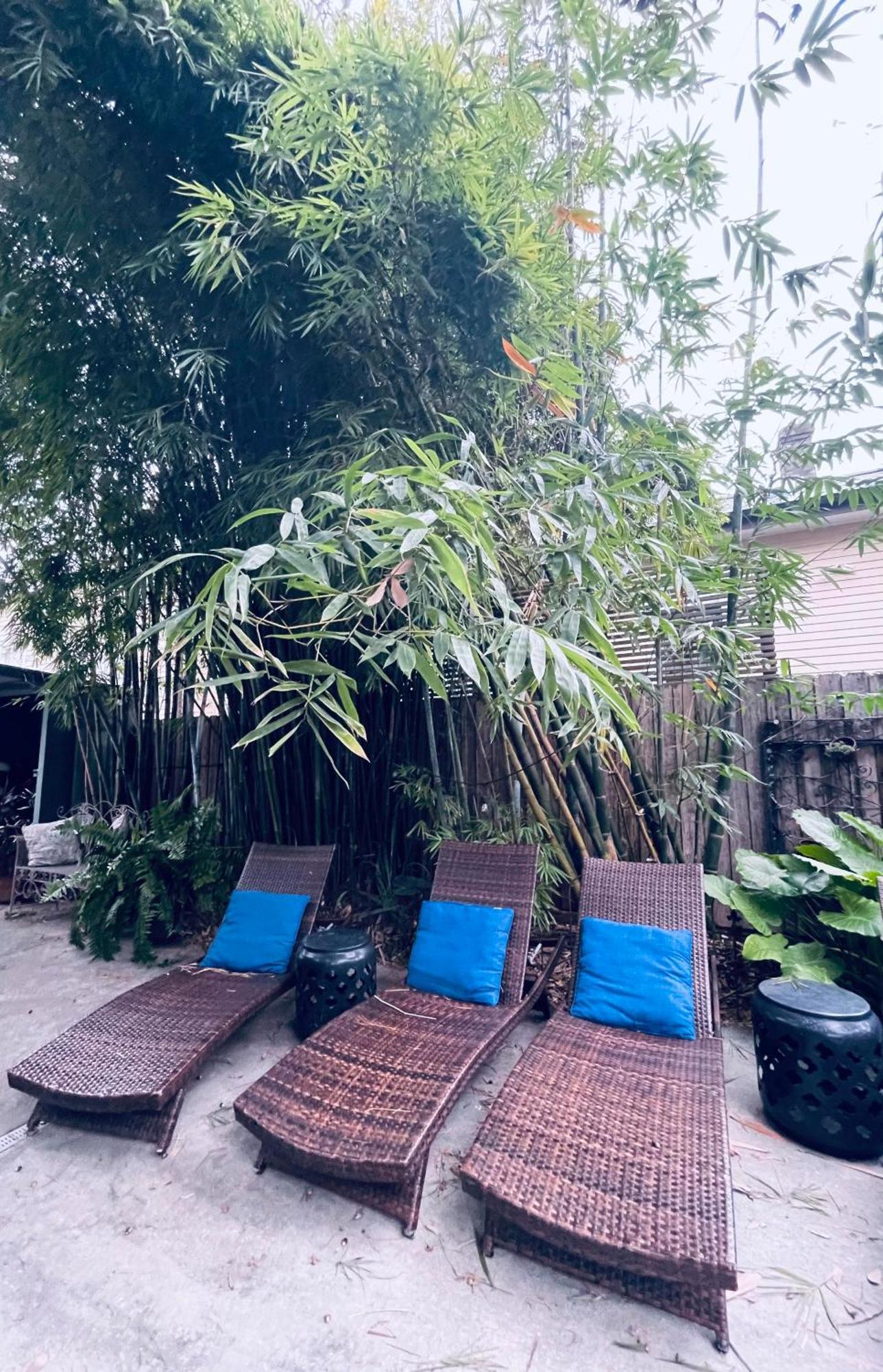 The Dragonfly Treme-close To French Quarter-heated Salt Pool Holiday home