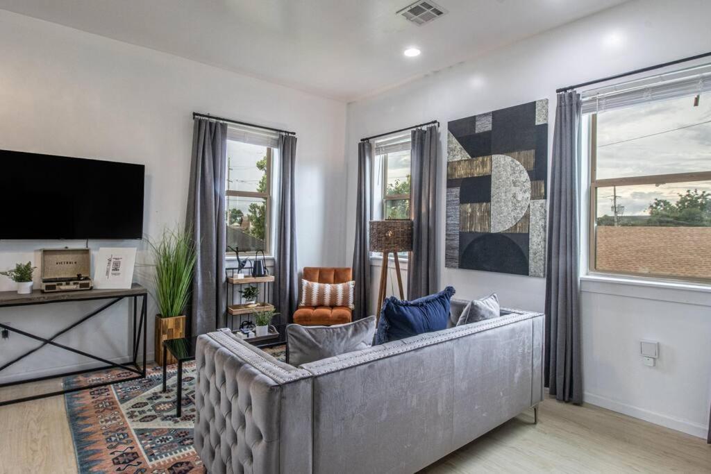 Vibrant Gray Downtown Loft