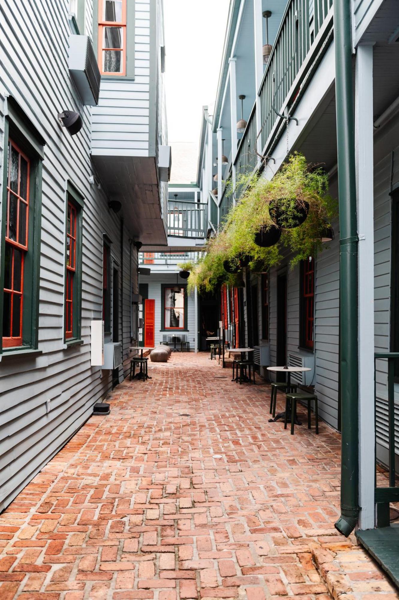 The Frenchmen By Kasa * New Orleans
