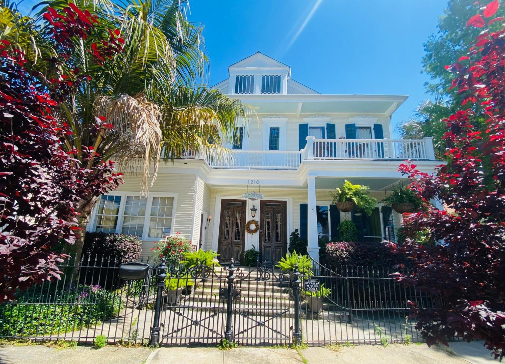Guest house The Dragonfly Treme