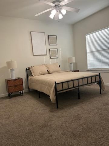 Perfect Proximity Apartment New Orleans