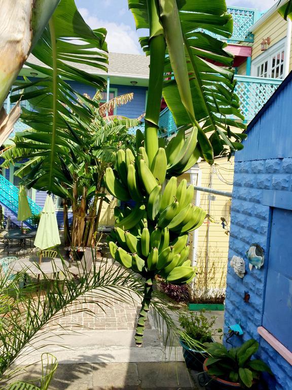 Creole Gardens And