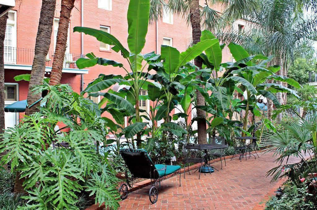 Chateau Orleans Aparthotel New Orleans