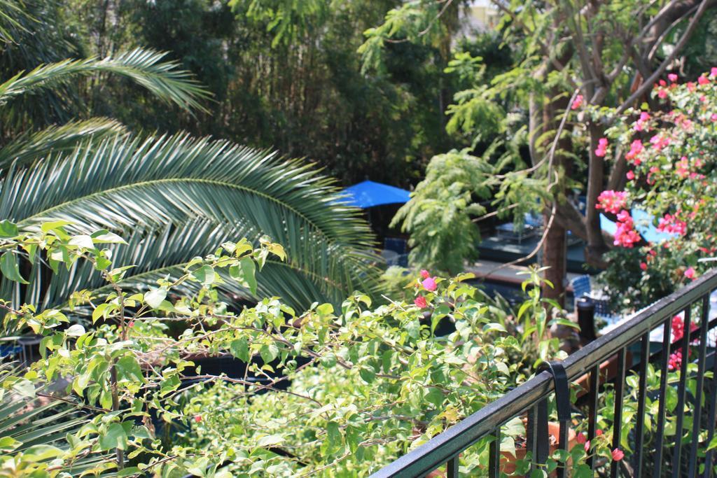 The House Bed & Breakfast 3*