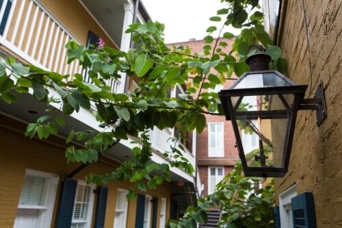 Mazarin Hotel New Orleans