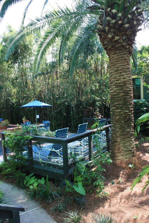 The House Bed & Breakfast 3*