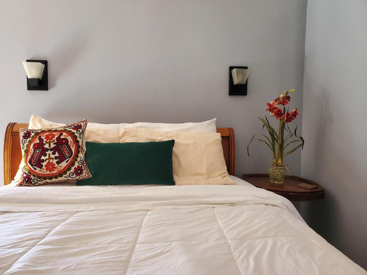 Macarty House, A Bohemian With Pool And Bar Holiday home *
