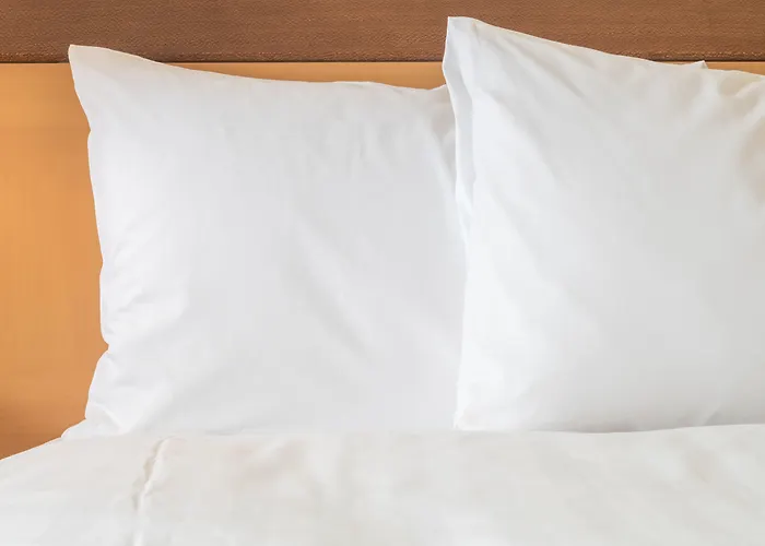 Hotel Indigo New Orleans - French Quarter By Ihg