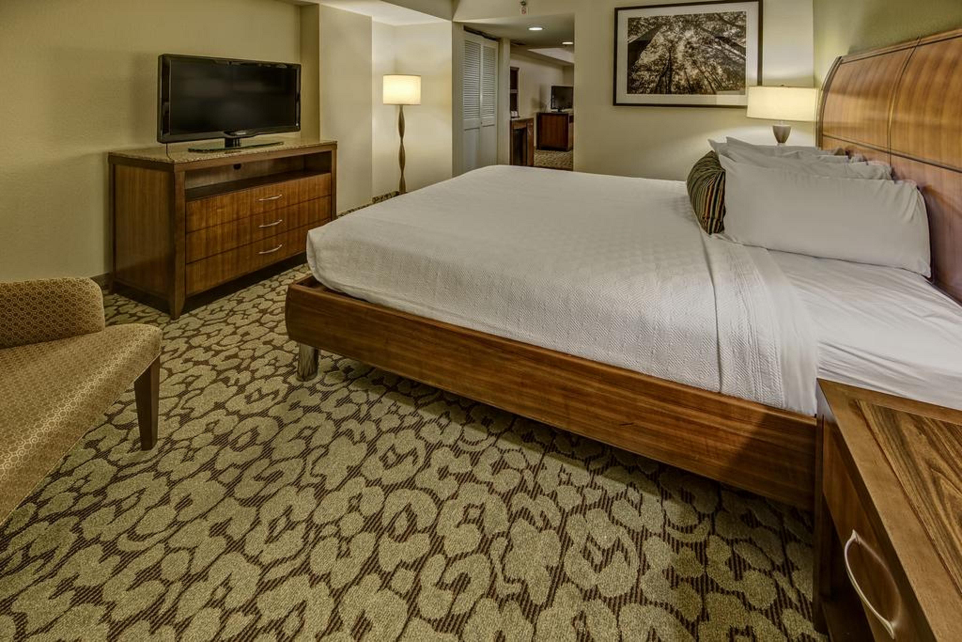 Hotel Hilton Garden Convention Center New Orleans