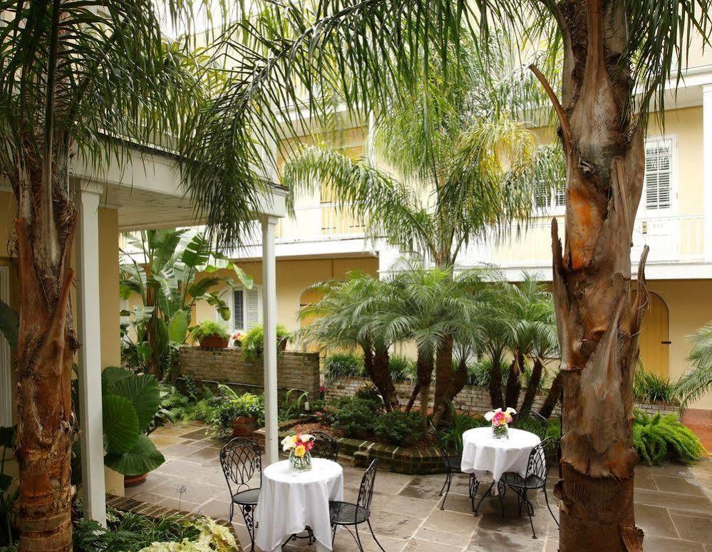 Dauphine Orleans New Orleans
