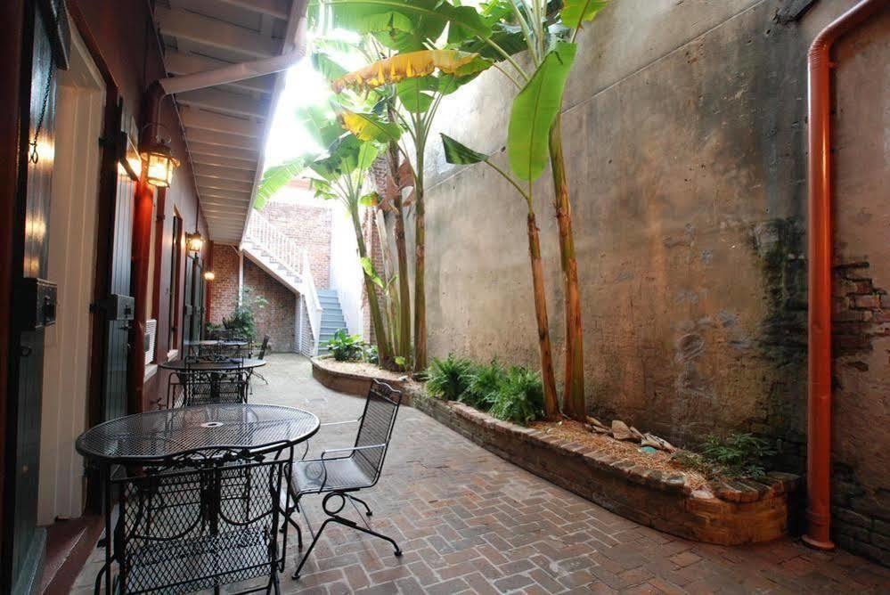 On St. Peter, A French Quarter